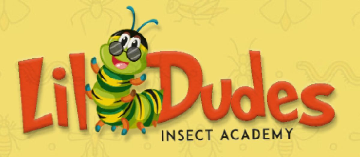 Lil' Dudes Insect Academy