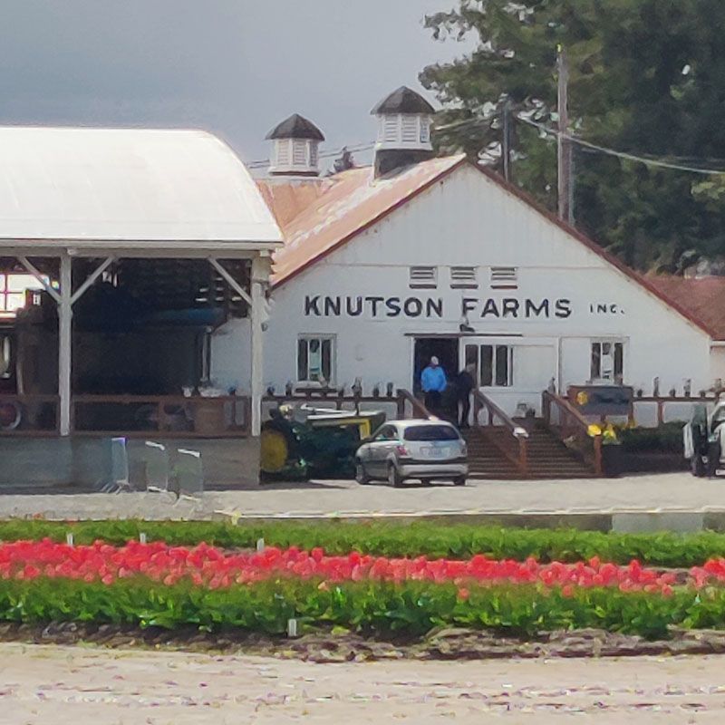 Knudsen Farms: A Local Favorite for Fresh Flowers and Fun Activities