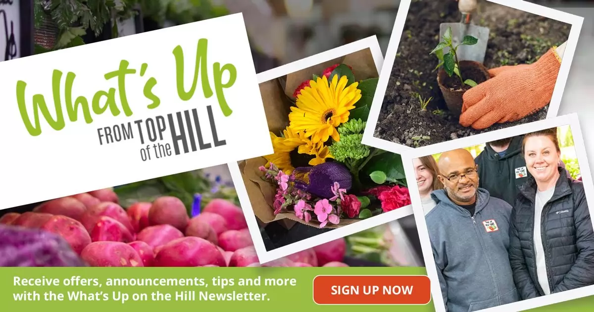 Top of the Hill Quality Produce, LLC - What's Up on the Hill