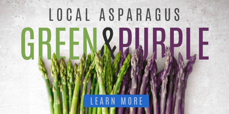 Local Green and Purple Asparagus from Yakima Washington