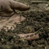 Remember the Soil: the Rich Man and Blind Bartimaeus (Mark 10:32-52)