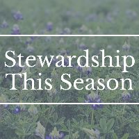 Stewardship This Year: What to Expect