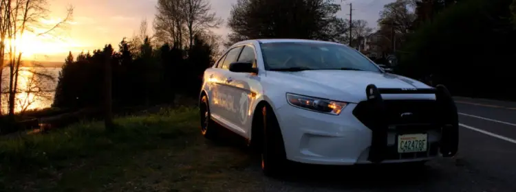 White Dauntless patrol vehicle parked on the side of a road with a sunset in the background.