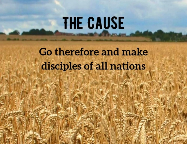 The Cause