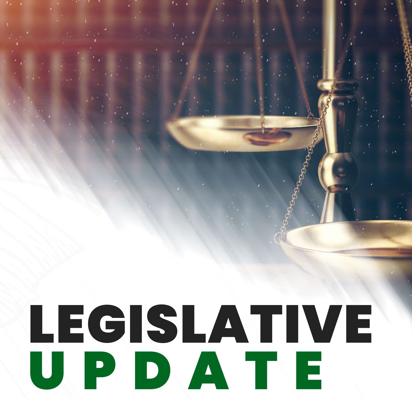 Legislative Update